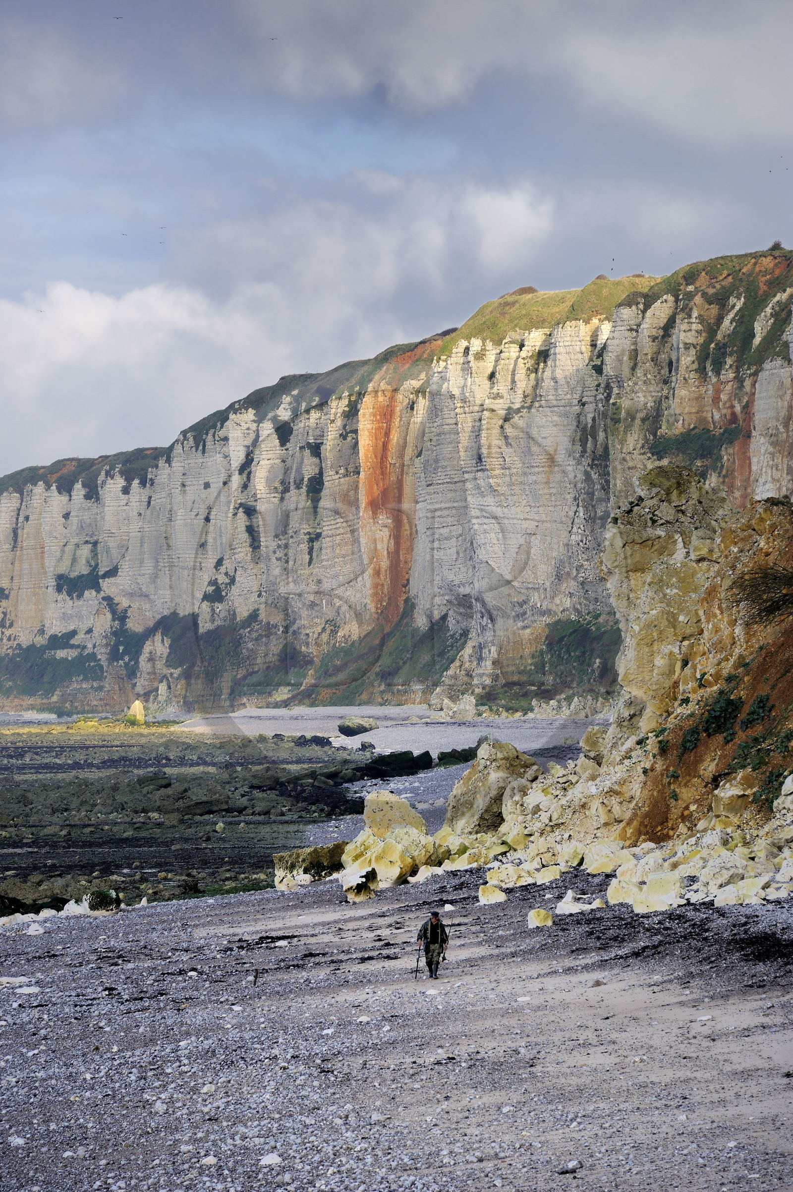 France, Seine-Maritime (76), Côte d'Albâtre, Yport, un pêcheur marchant sur la plage à marée basse au pied des falaises