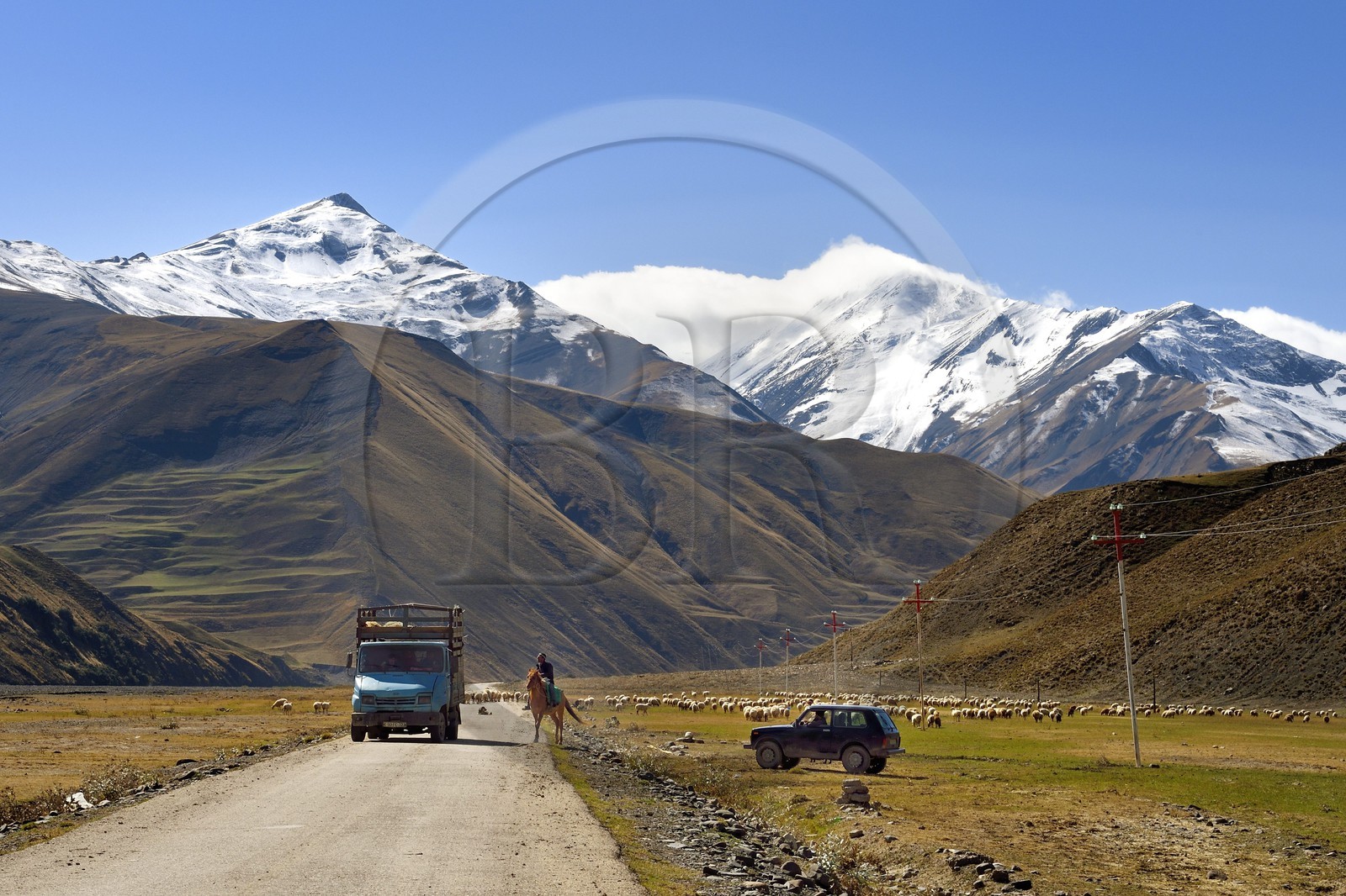 Azerbaïdjan, région de Quba (Guba), chaine de montagne du Grand Caucase, route Xinaliq Yolu vers Khinalug, éleveur et son troupeau de moutons en contrebas du village de Qalaxudat