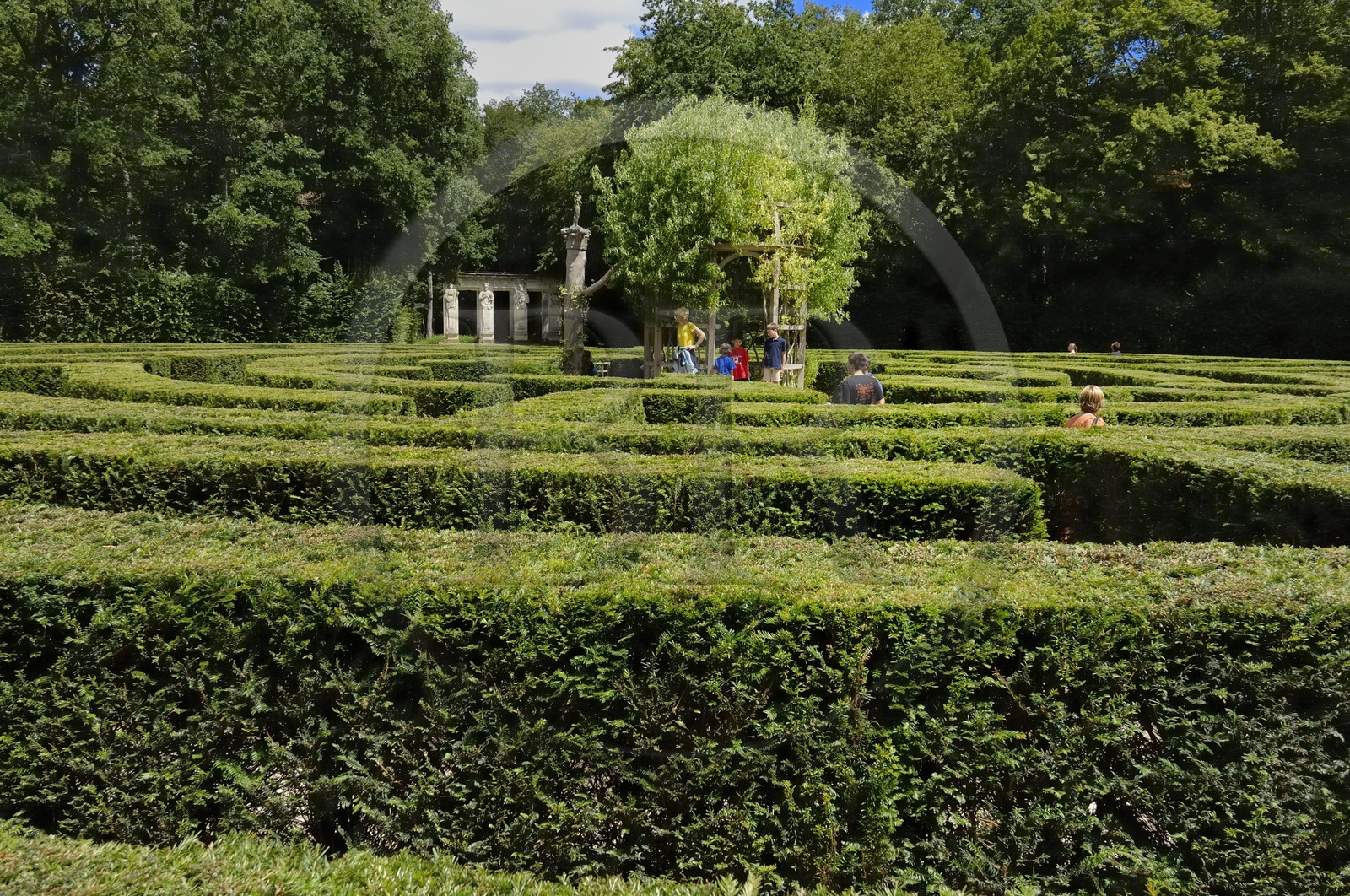 France, Indre-et-Loire (37), château de Chenonceau édifié de 1513 à 1521 de style Renaissance, le labyrinthe dans le parc