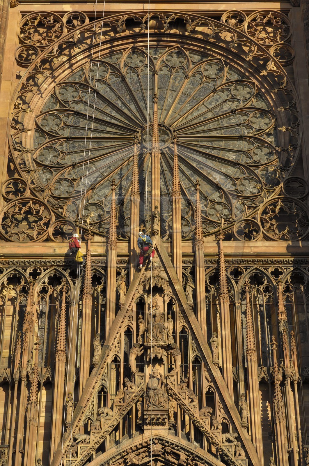 France, Bas Rhin (67), Strasbourg, la cathédrale Notre-Dame, travaux d'entretien sur la facade par des alpinistes en rappel