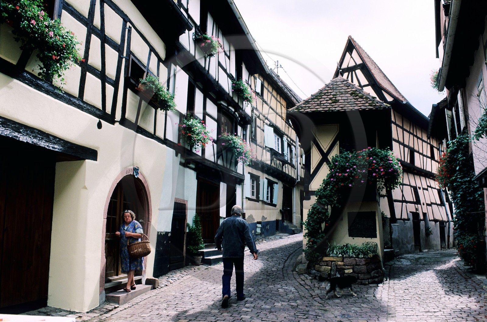 France, Haut-Rhin (68), Eguisheim, labellisé Les Plus Beaux Villages de France