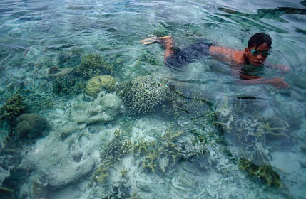 Indonésie, archipel des Célèbes (Sulawesi), jeune pêcheur de coraux dans les îles Togian
