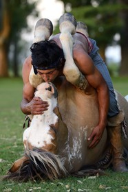 Argentine, province de Buenos Aires, San Antonio de Areco, estancia La Bamba de Areco, demonstration du savoir-faire d'un cavalier amerindien avec son cheval, le baiser au cheval