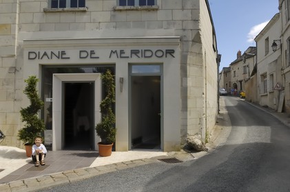 France, Maine et Loire (49), Montsoreau, restaurant Diane de Méridor