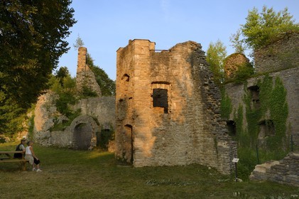 France, Haut Rhin, Sundgau, Oberlarg, ruins of the Morimont castle of the 12th century