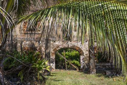 France, Guyane, Kourou, Iles du Salut, ruines de l'atelier des travaux sur l'Ile Royale