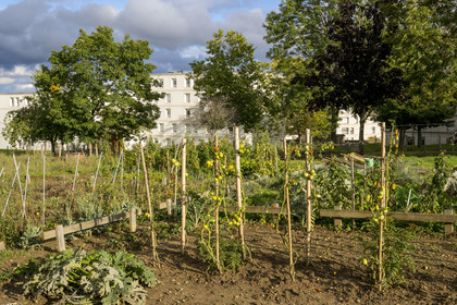 France, Yonne (89), Auxerre, jardins partagés de Saint-Siméon sur les Hauts d’Auxerre