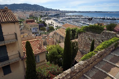 France, Alpes-Maritimes, Cannes, the old town in Le Suquet district is overloojing the tourist port