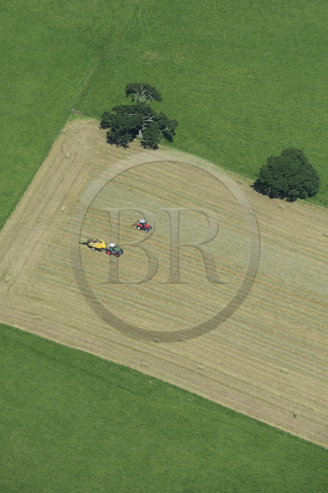 Royaume-Uni, Angleterre, Cumbrie, la campagne au sud de Penrith, travaux des champs (vue aérienne)