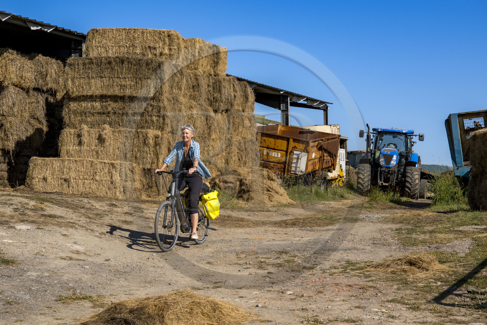 France, Loire Atlantique, La Plaine-sur-Mer, discovery of a farmyard along the Vélodyssée cycle route