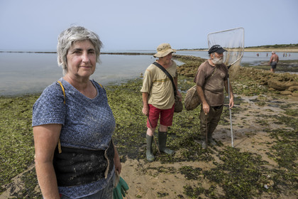 France, Charente-Maritime (17), Ile d'Oléron, Saint-Georges-d'Oléron, plage des Sables Vignier à marée basse, concessionnaires mareyants de l'écluse à poissons des Basses, la mareyant Francine Fèvre cheffe de la Concession Laure Brégaud