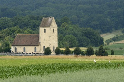 France, Haut Rhin, Sundgau, Oltingue, Saint-Martin-des-Champs church