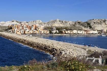 France, Bouches du Rhone, Marseille, Calanques National Park, archipelago of Frioul islands, Ratonneau island, the village and port of Frioul
