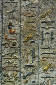 Egypte, Haute Egypte, vallée du Nil, environs de Louxor, nécropole thébaine classée Patrimoine Mondial de l'UNESCO, Thèbes Ouest, vallée des Rois, hiéroglyphes de la tombe de Ramses III