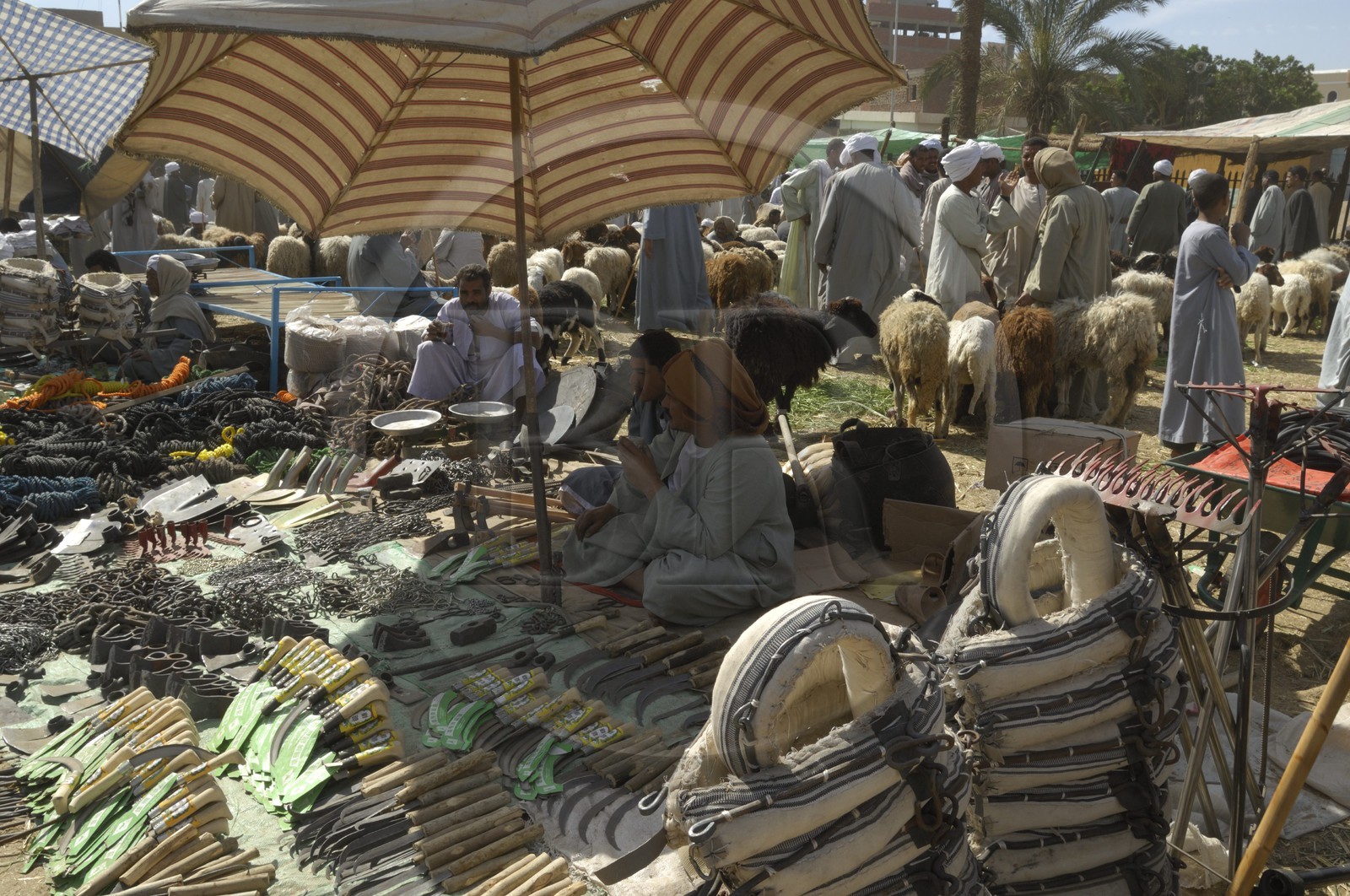 Egypte, Haute Egypte, Daraw au nord d'Assouan, marché aux animaux, étal d'accessoires et ferronneries
