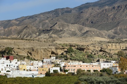 Espagne, Andalousie, Province d'Almeria, Abriojal vers Alhama de Almería en bordure du désert de Tabernas