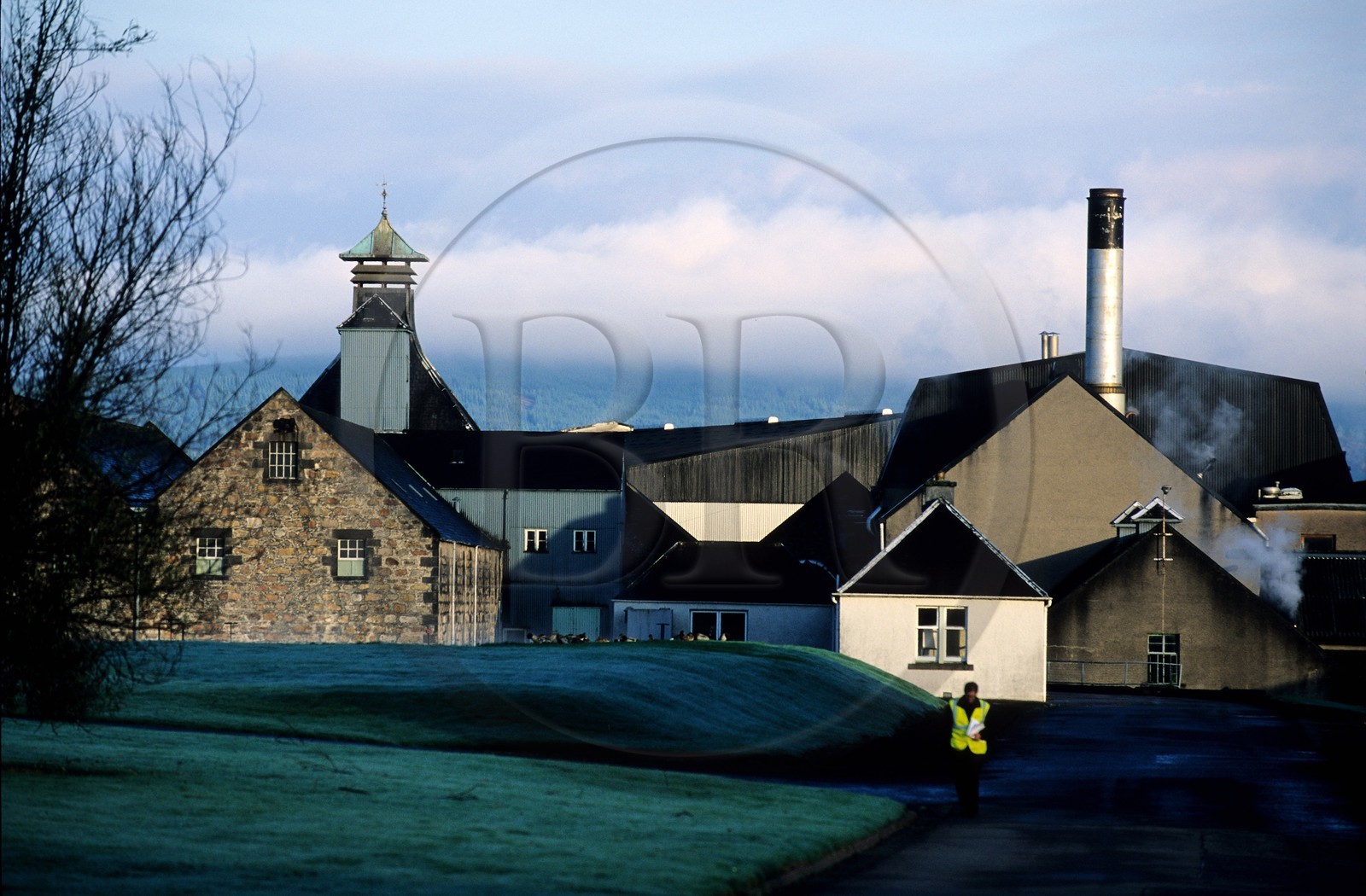 Royaume-Uni, Ecosse, Moray, Dufftown, distillerie de Balvenie