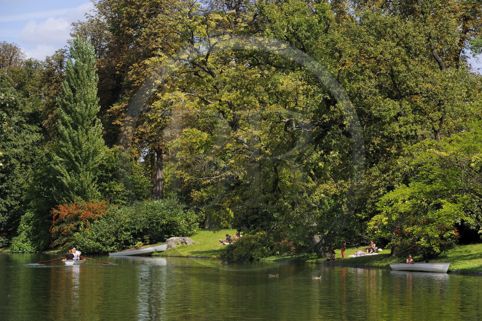 France, Paris (75), le Bois de Boulogne, promenade en barque autours des iles du Lac Inférieur