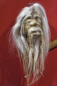 France, Dordogne, Perigord Noir, Dordogne valley, Sarlat la Caneda, Manoir de Gisson, cabinet of curiosities in the museum of the Manoir de Gisson, shrunken head from the Jivaro people