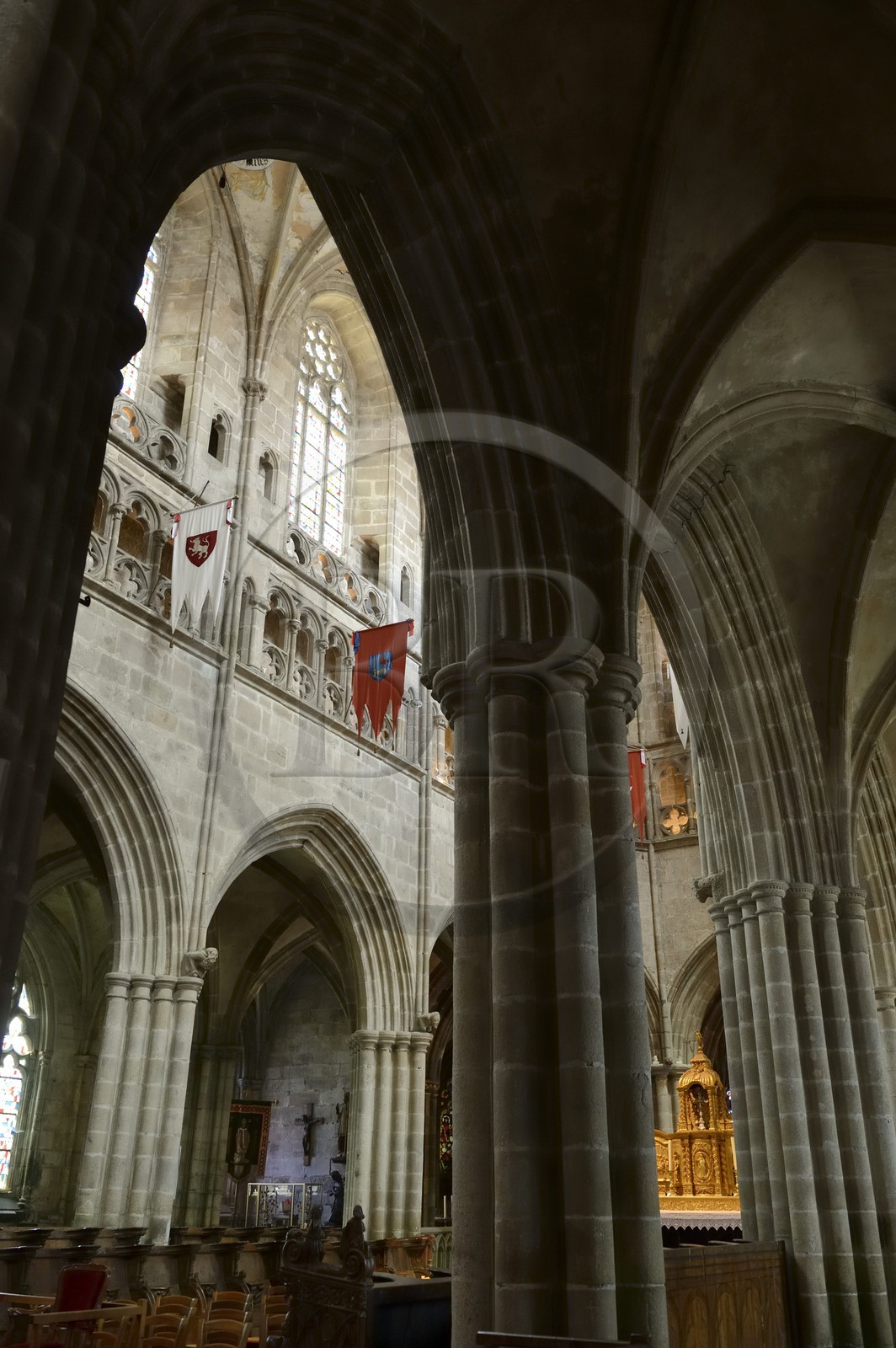France, Côtes-d'Armor (22), Tréguier, nef de la cathédrale Saint-Tugdual