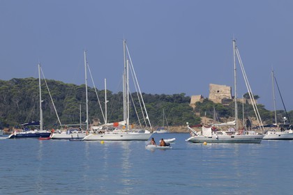 France, Var (83), Iles d'Hyères, parc national de Port-Cros, île de Porquerolles