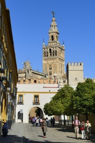 Spain, Andalusia, Seville, the Giralda, listed as World Heritage by UNESCO, seen from the Courtyard of Flags (Patio de Banderas)