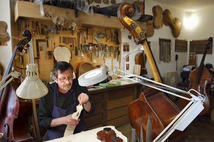 France, Dordogne, White Perigord, Perigueux, the stringed-instrument maker Damien Florio in his workshop from the Rue Aubergerie
