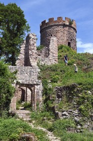 France, Haut Rhin, the Alsace Wine Route, Ribeauville, castle of Haut Ribeaupierre (or Altenkastel)