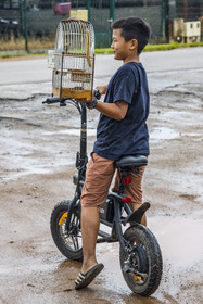 France, Guyane, Javouhey,  jeune garçon Hmong ayant acheté au marché du dimanche un Sporophile curio (Sporophila angolensis) en cage ou Picolette, espèce de passereau de Guyane réputé pour son chant extraordinaire