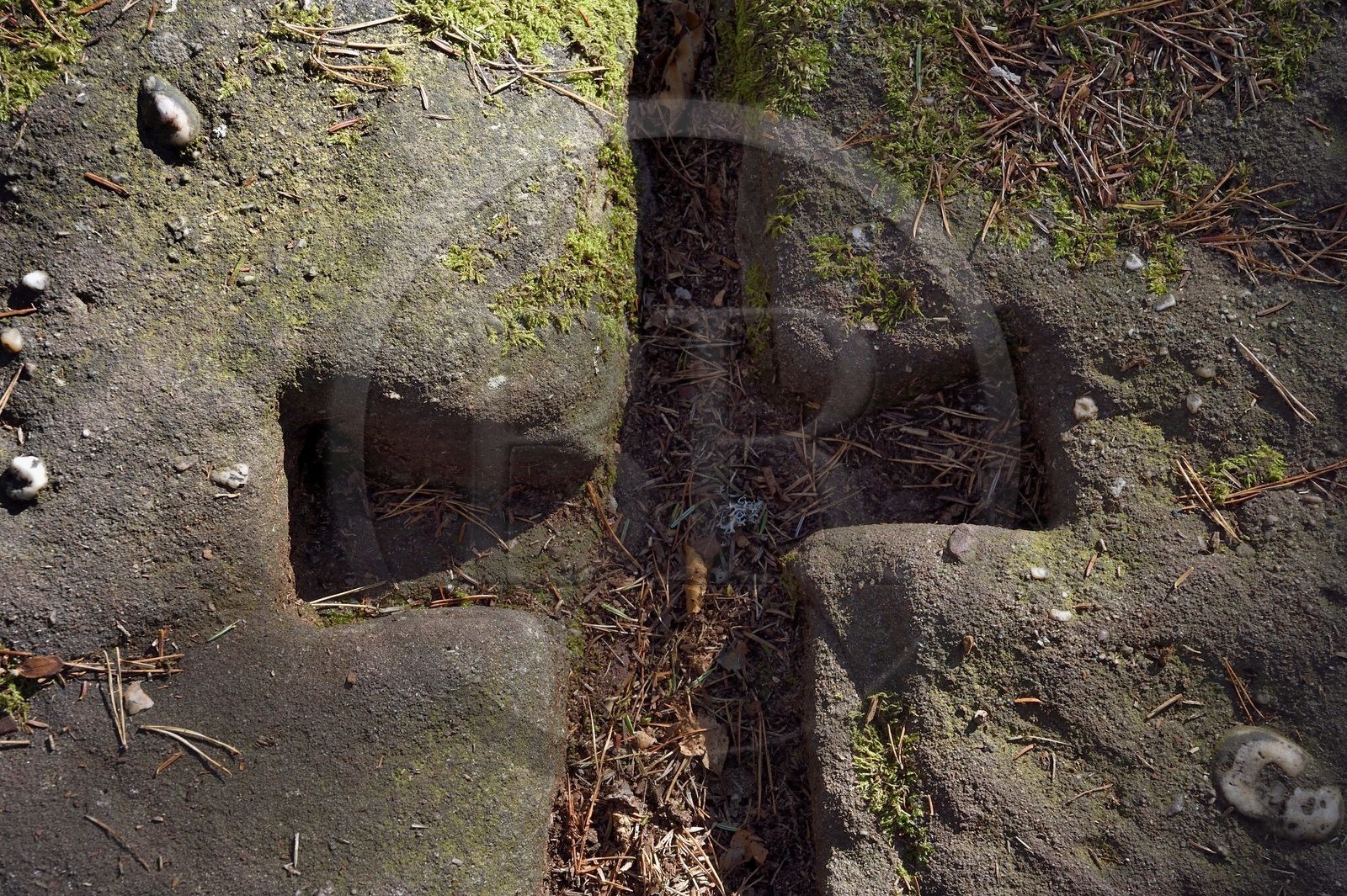 France, Bas-Rhin (67), Mont Saint-Odile, le Mur Païen, vestige d'un mur d'enceinte probablement de l'époque mérovingienne d'une longueur totale de onze kilomètres, construction en appareil cyclopéen aux blocs liés par des tenons en bois à double queue d'aronde