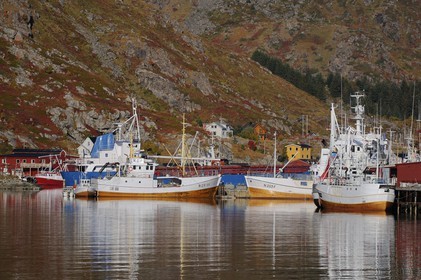 Norvège, Nordland, Iles Lofoten, port de pêche de Ballstad dans l'île de Vestvagoy