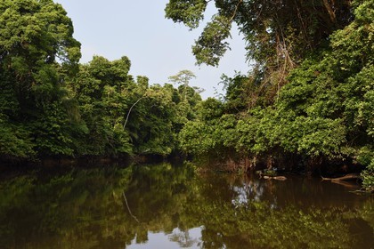 Gabon, Ogooue-Maritime Province, one of the many rivers in the Fernan Vaz (Nkomi) lagoon