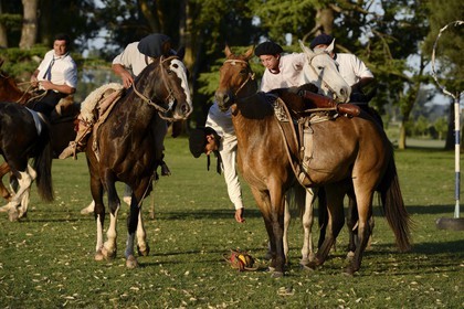 Argentine, province de Buenos Aires, San Antonio de Areco, estancia La Bamba de Areco, gauchos jouant au Pato (horse-ball) qui est un sport d’équipe équestre, mélange de rugby et de basket à cheval