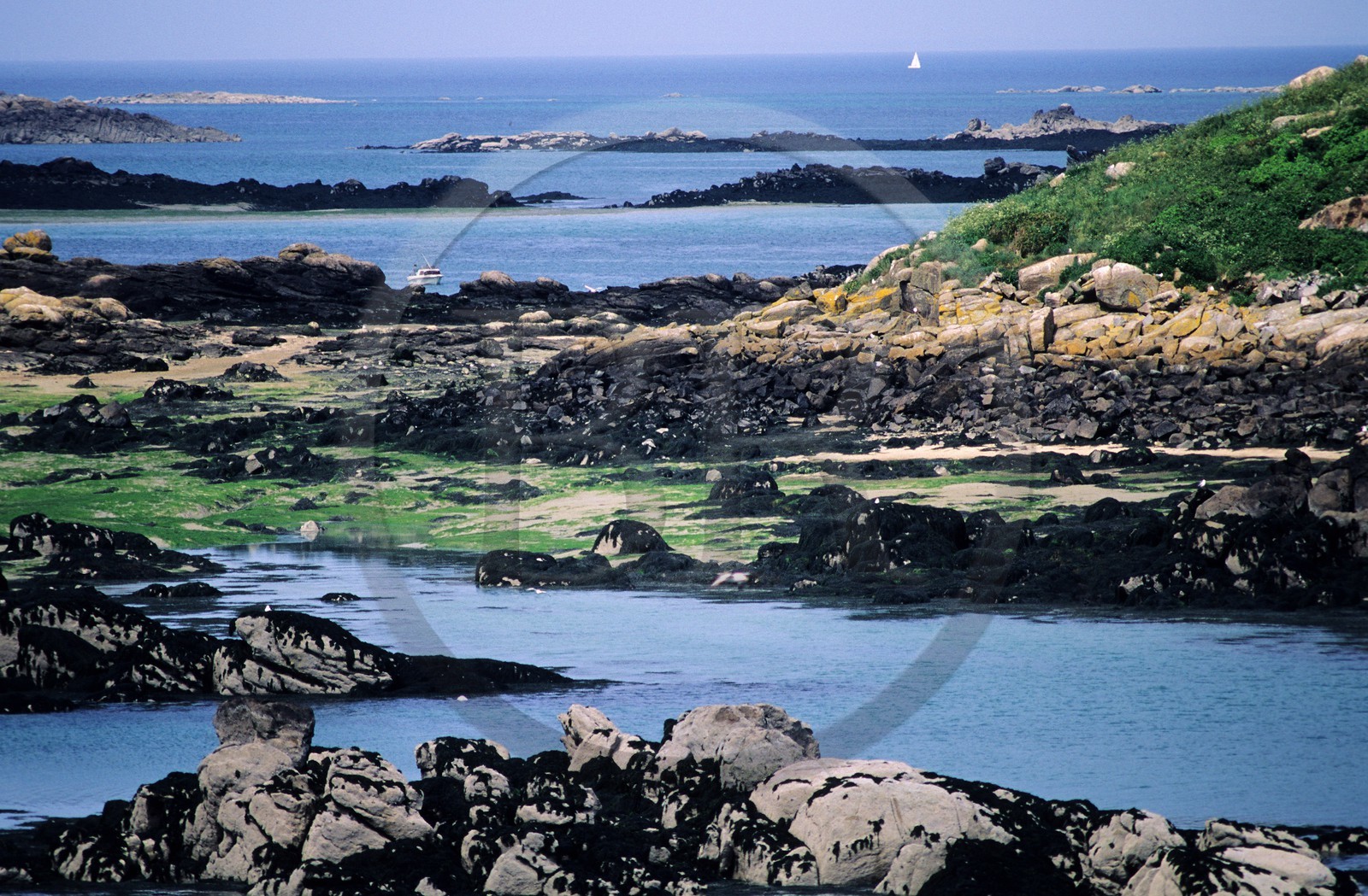 France, Manche (50), îles Chausey