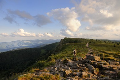 France, Haut-Rhin (68), la route des Crêtes, réserve naturelle tourbière du Tanet-Gazon-du-Faing