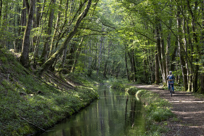 France, Nièvre (58), Parc naturel régional du Morvan, en aval de l'aqueduc de Montreuillon, cycliste sur le chemin bordant la Rigole d'Yonne qui puise les eaux de l'Yonne au lac de Pannecière et alimente le canal du Nivernais