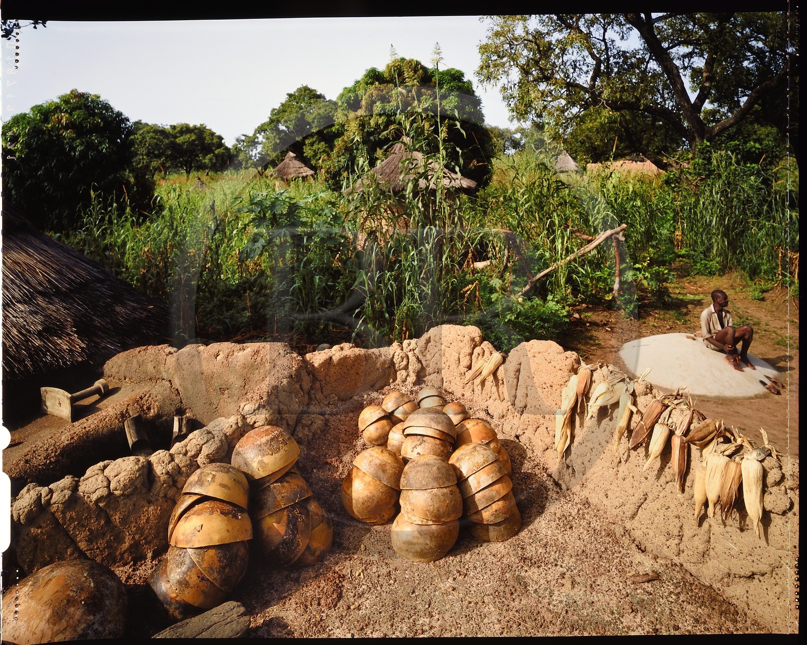 Burkina Faso, province de Poni, pays des Lobi, Loropéni, calebasses à dolo (bière de sorgho ou mil) sur le toit d'une maison, elle à comme particularité de rafraîchir les boissons qu'elle contient