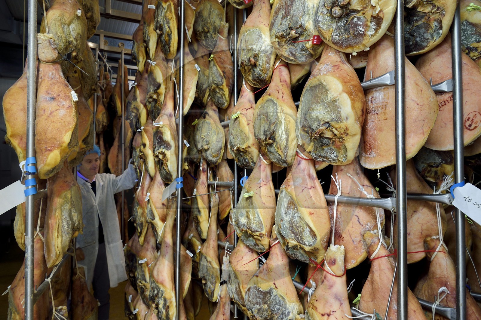 France, Pyrénées-Atlantiques (64), Pays-Basque, vallée des Aldudes, le Séchoir Collectif des Aldudes assure une prestation de séchage et l'affinage de jambons, début du processus du séchage