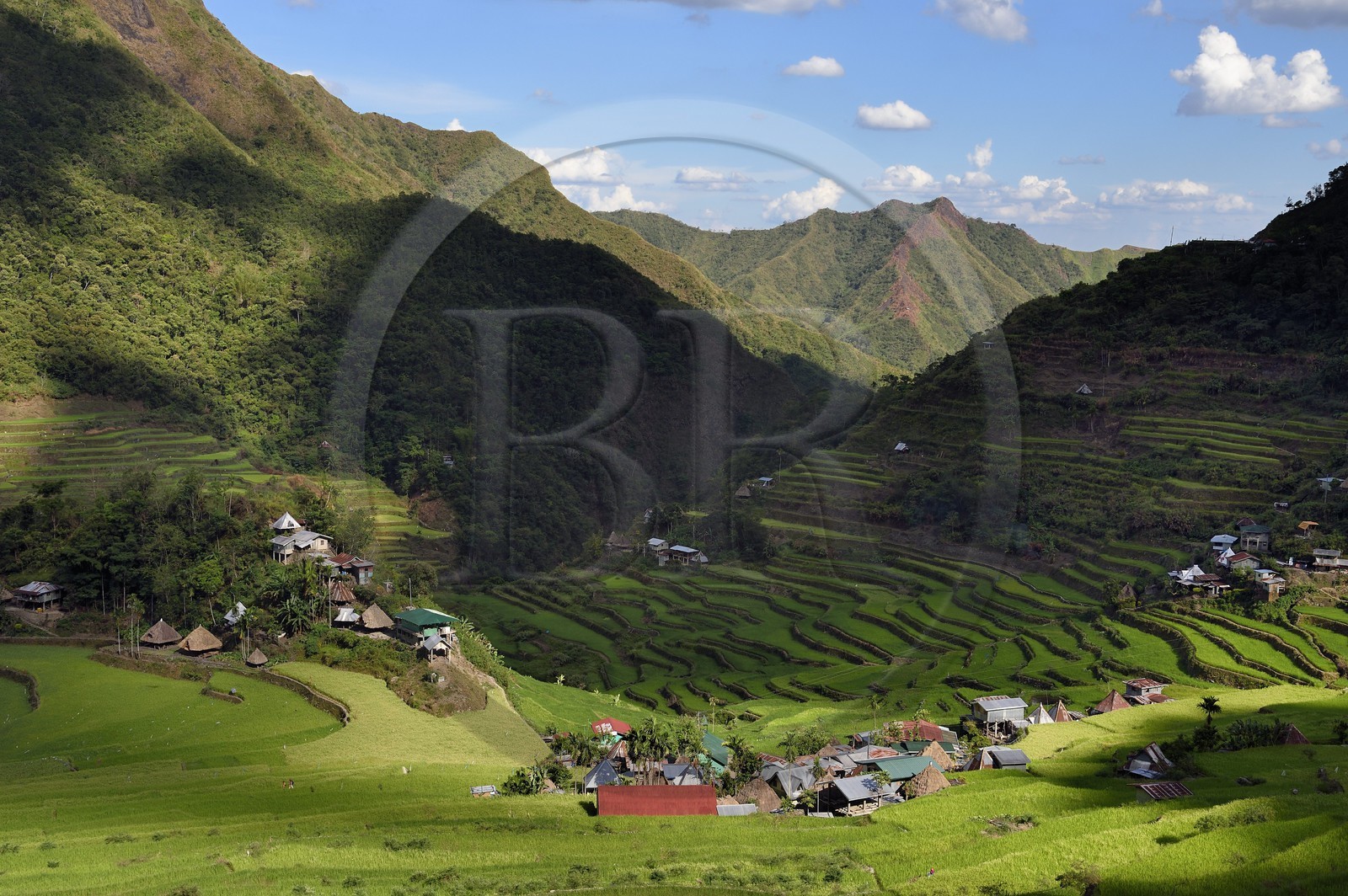 Philippines, province d'Ifugao, les rizières en terrasses de Banaue autour du village de Batad, classées Patrimoine Mondial de l'UNESCO, alimentées par un ancien système d'irrigation depuis la forêt tropicale au-dessus des terrasses Philippines, province d'Ifugao, les rizières en terrasses de Banaue autour du village de Batad, classées Patrimoine Mondial de l'UNESCO, alimentées par un ancien système d'irrigation depuis la forêt tropicale au-dessus des terrasses