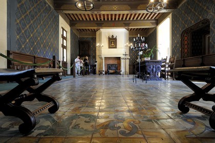 France, Loir et Cher, Loire Valley, listed as World Heritage by UNESCO, Chaumont sur Loire castle, Council Room