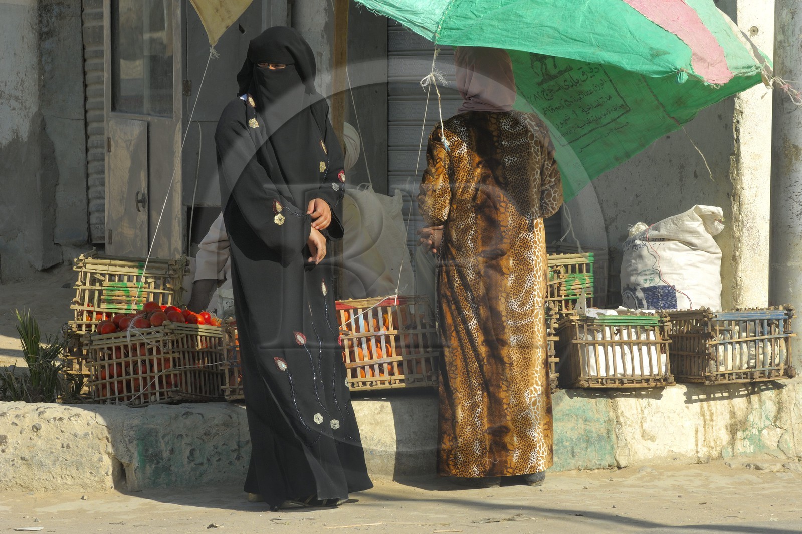Egypte, désert libyque, Farafra, femme voilée