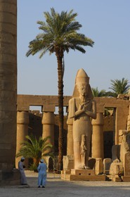 Egypte, Haute Egypte, vallée du Nil, Louxor, Karnak, classé Patrimoine Mondial de l'UNESCO, colosse de Ramses II
