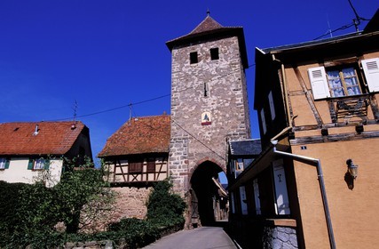 France, Bas Rhin, Dambach la Ville, one of the tree doors of the city