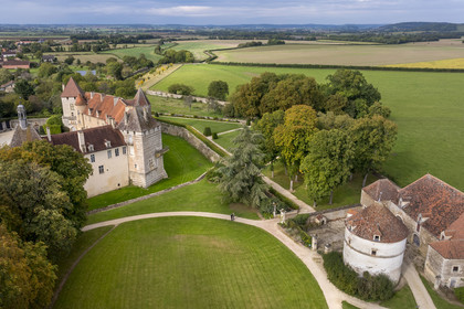 France, Côte-d'Or (21), Epoisses, le château d'Epoisses et ses communs (vue aérienne)