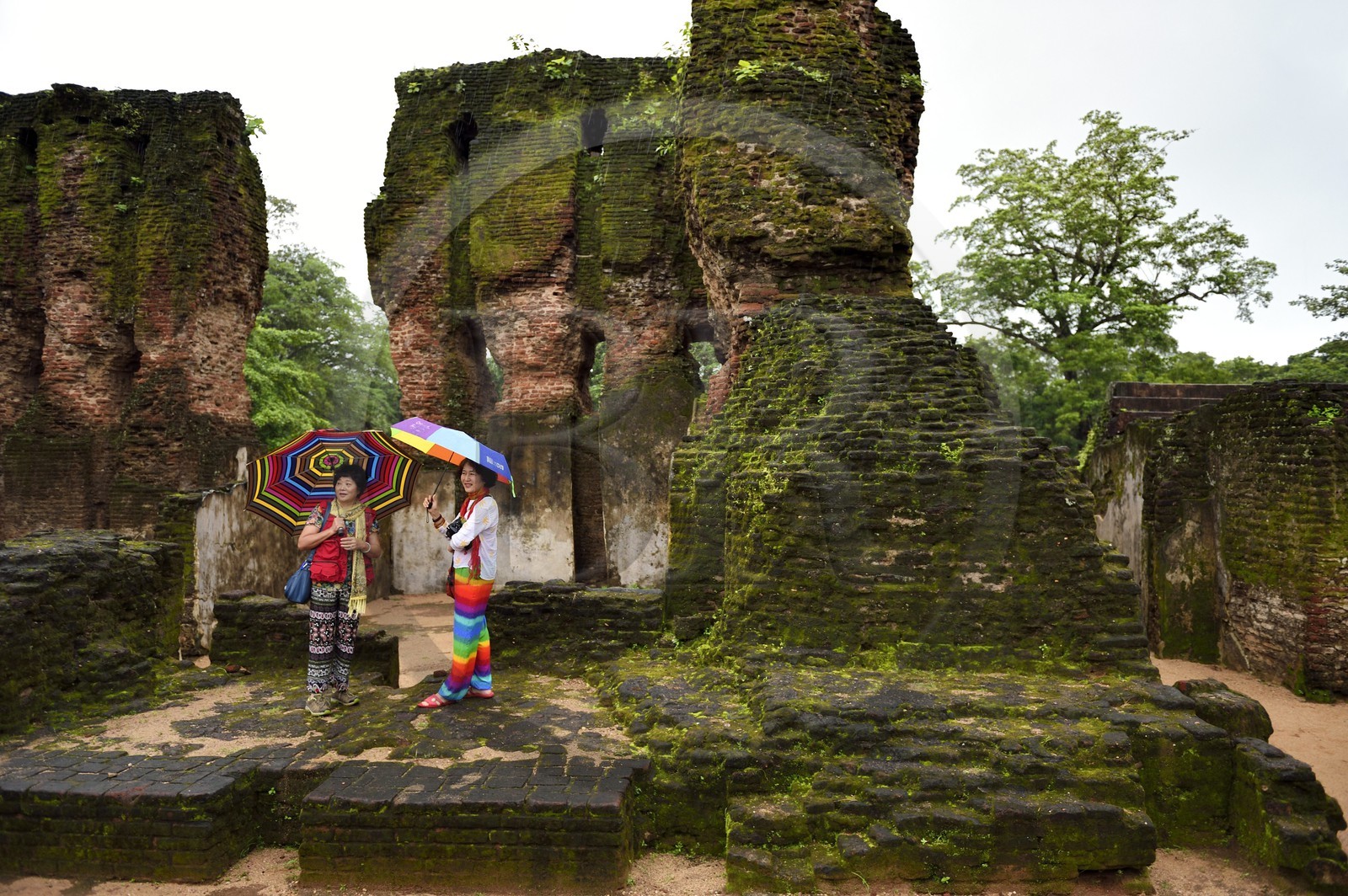 Sri Lanka,  North Central province, Polonnaruwa, the former capital of the country (11th to 13th century) listed as World Heritage by UNESCO, Chinese tourists in front of the Royal Palace ruins