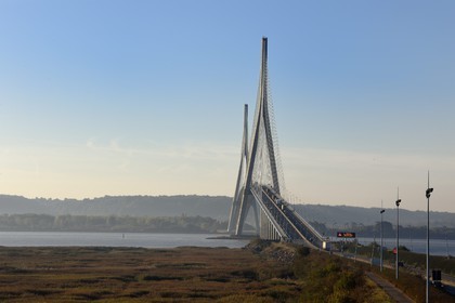 France, Seine Maritime, Natural Reserve of the Seine estuary and Normandy bridge, the reed bed in the foreground