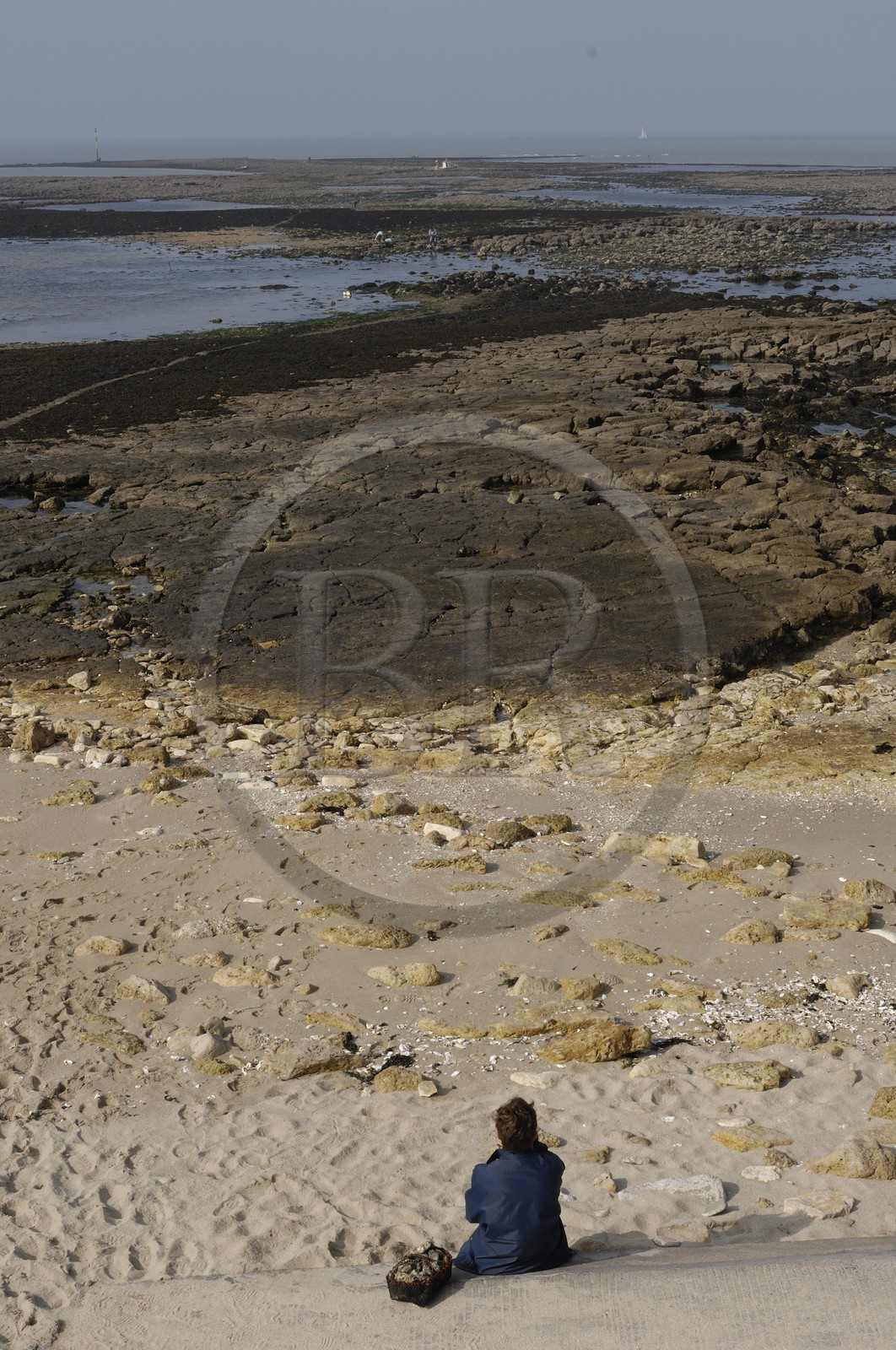 France, Charente-Maritime (17), Ile d'Aix, rade des Basques, pêche à pied à marée basse