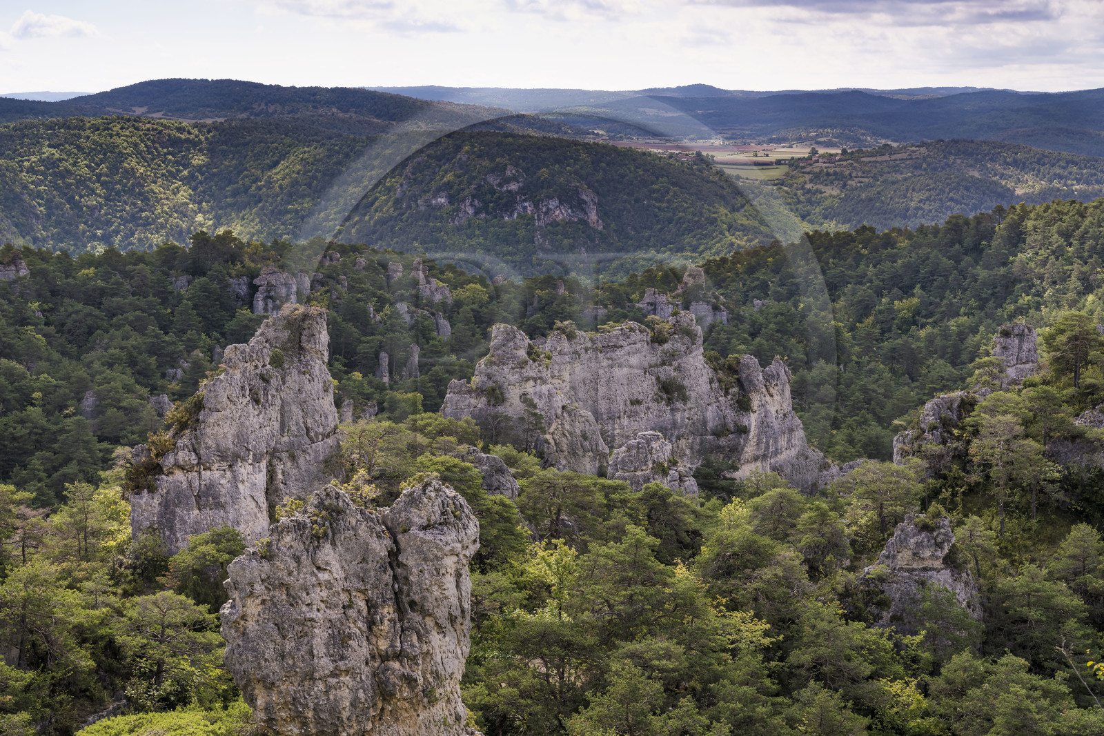 France, Aveyron (12), Causses et les Cévennes, paysage culturel de l'agro-pastoralisme méditerranéen, classés Patrimoine Mondial de l'UNESCO, Causse Noir, La Roque-Sainte-Marguerite, chaos de Montpellier-le-Vieux, la Cité de Pierres France, Aveyron (12), Causses et les Cévennes, paysage culturel de l'agro-pastoralisme méditerranéen, classés Patrimoine Mondial de l'UNESCO, Causse Noir, La Roque-Sainte-Marguerite, chaos de Montpellier-le-Vieux, la Cité de Pierres