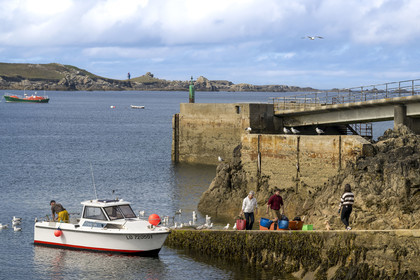 France, Finistère (29), Mer d'Iroise, Ile d'Ouessant, le port de Lampaul dans la baie de Lampaul,  la presqu'ile de Feunteun Velen en arrière plan