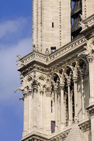 France, Paris (75), Ile de la Cité, cathédrale Notre-Dame de Paris, gargouilles de la tour sud